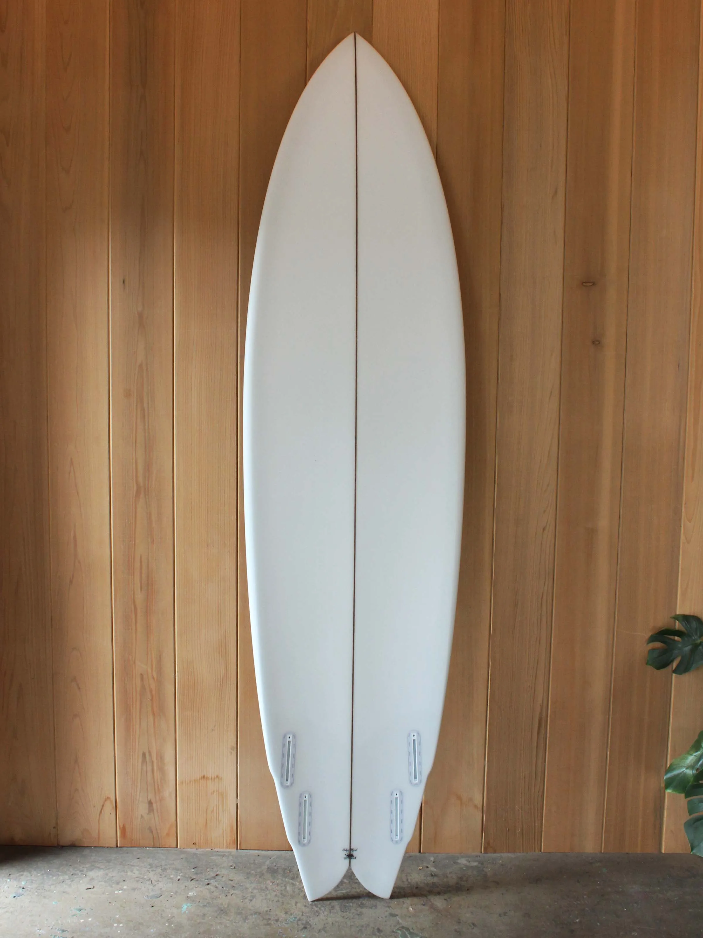 7'4 Rainbow Quad