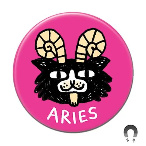 Aries Magnetic Devices - Shop Now for High-Quality Magnets