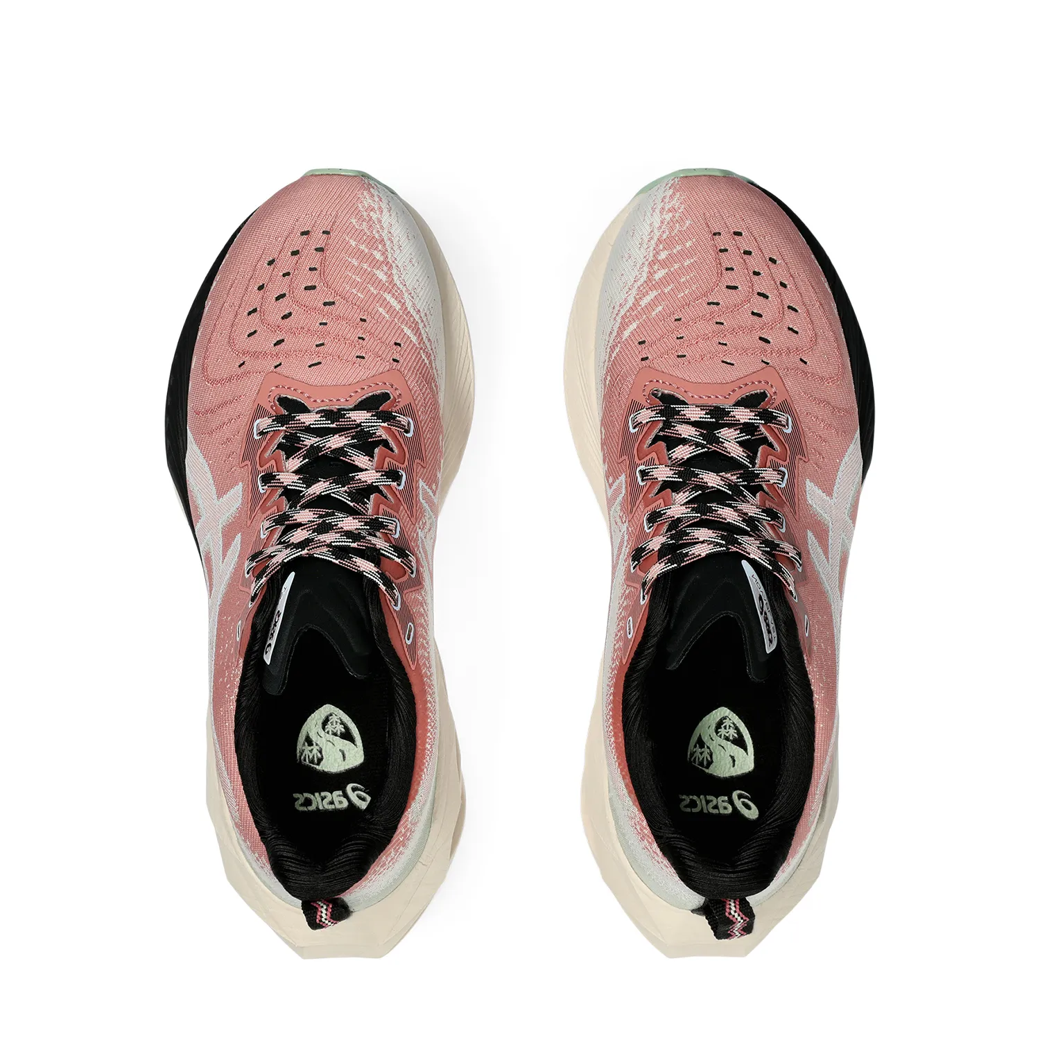 Asics Novablast 4 TR Nature Bathing Rose Rouge