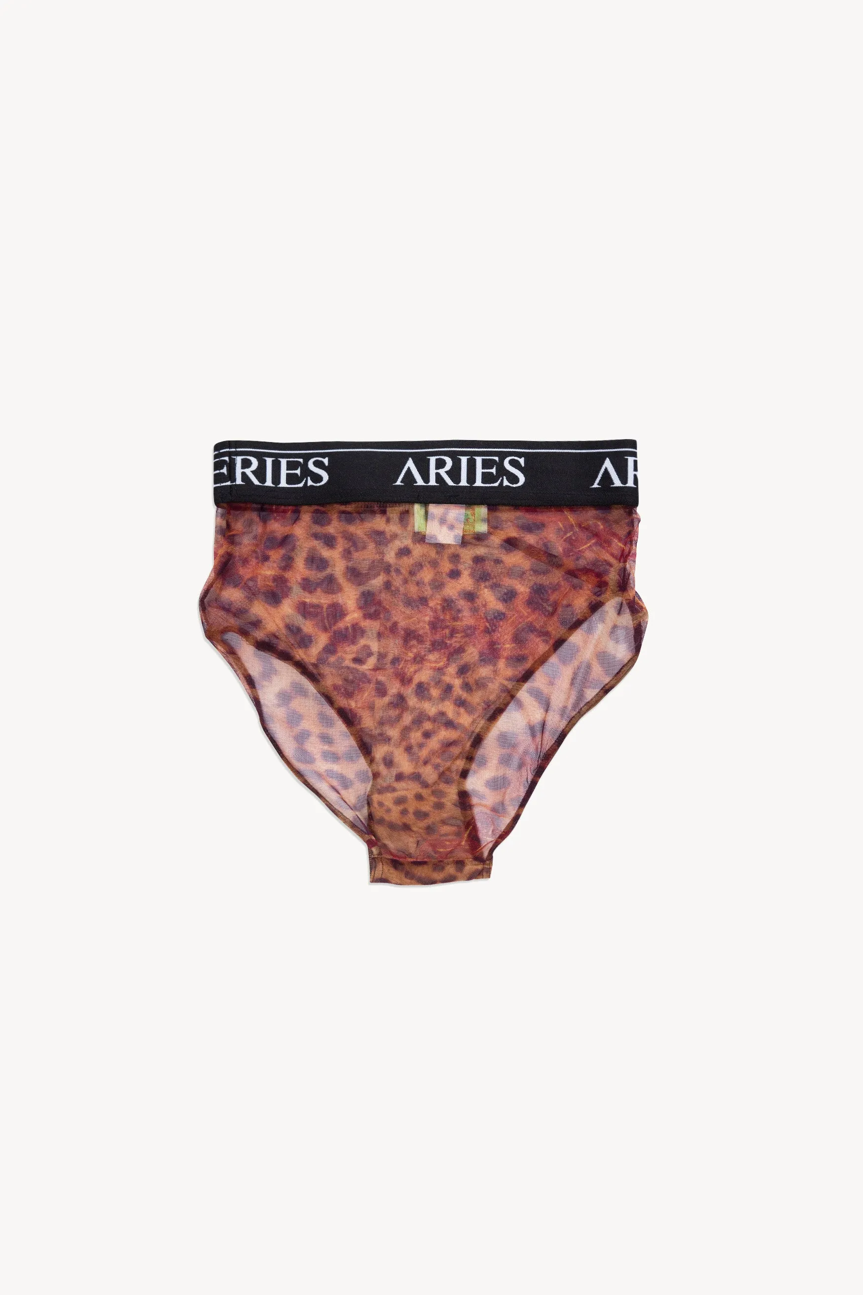 Leopard Print High-Rise Brief - Shop Now