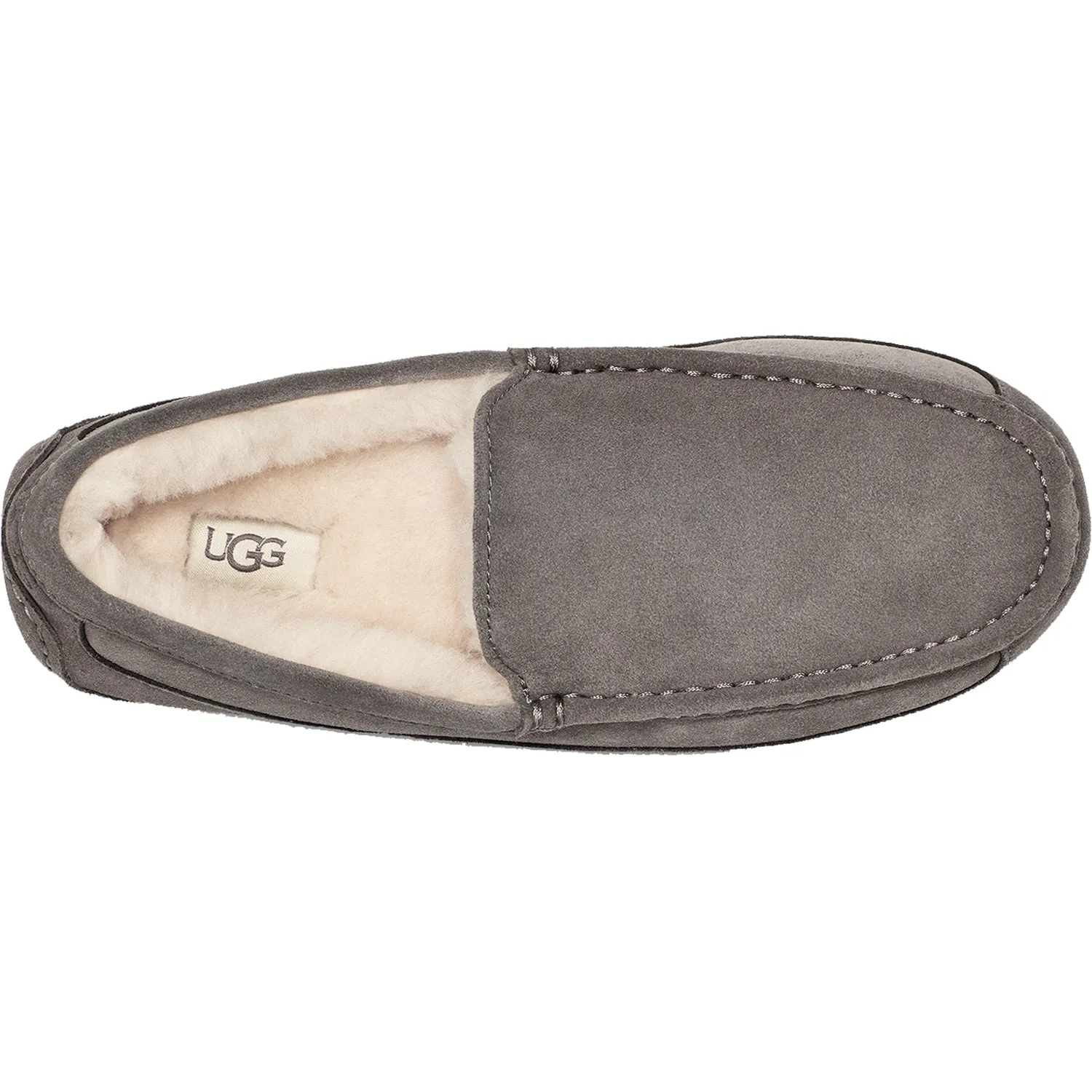 Men's UGG Ascot Grey Suede