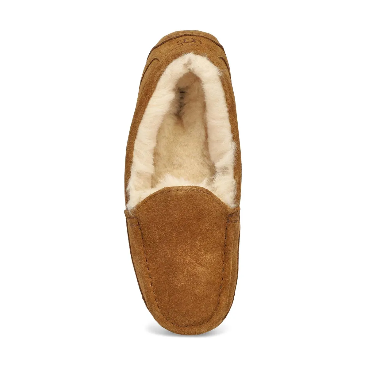 UGG  Ascot Unisex