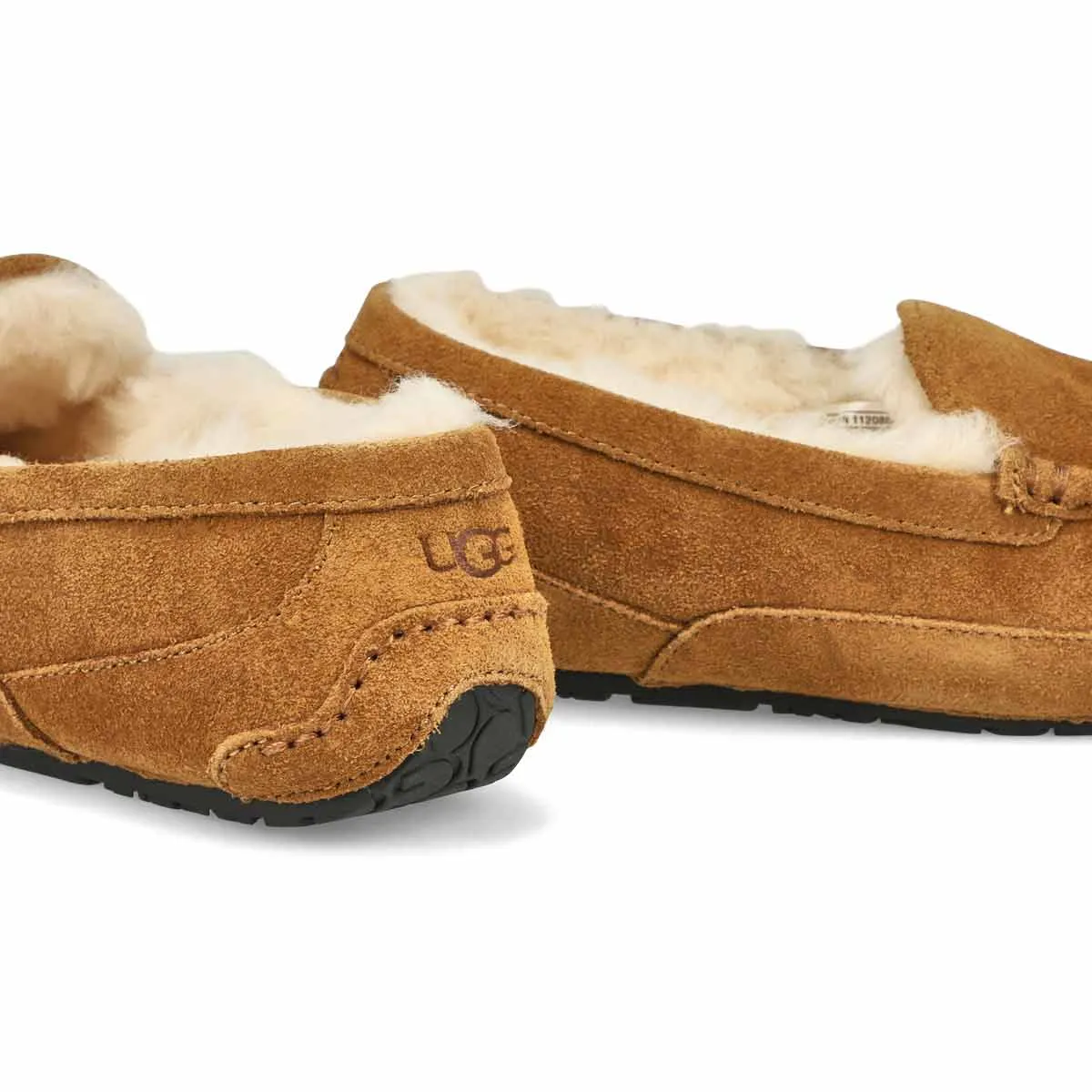 UGG  Ascot Unisex