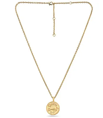 Zodiac Sign Necklace Aries